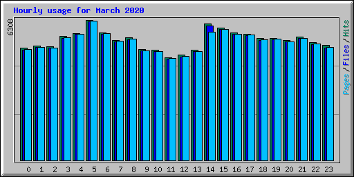 Hourly usage for March 2020